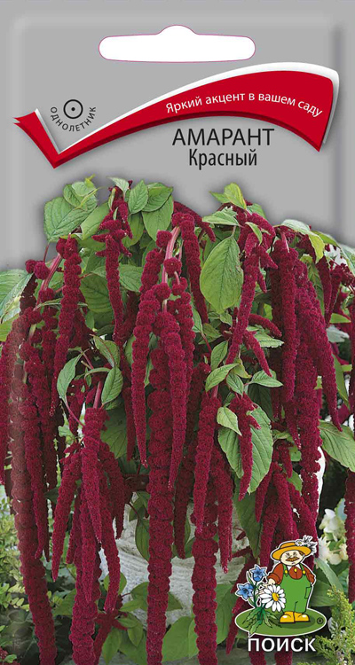Семена цветов амарант "красный" ("1)  0,3 г (10/100) "поиск"