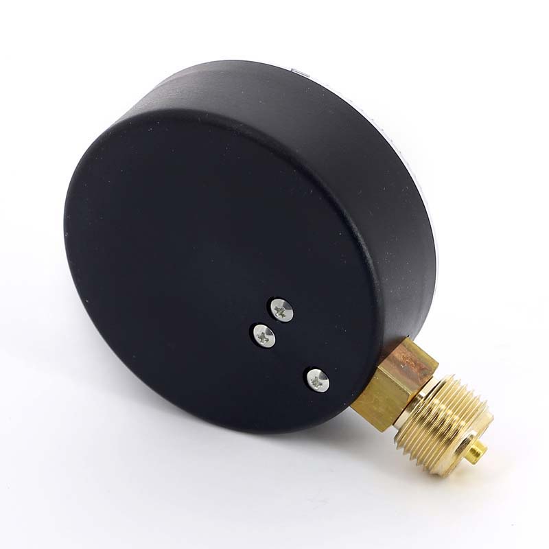 Манометр радиальный F+R200 80 мм 1/2" 25 бар WATTS