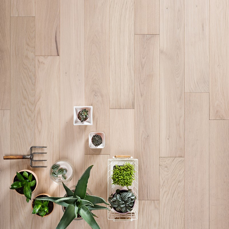 Паркетная доска Coswick Классическая 3-х слойная CosLoc 1153-3542 Акварельный белый (Порода: Дуб)