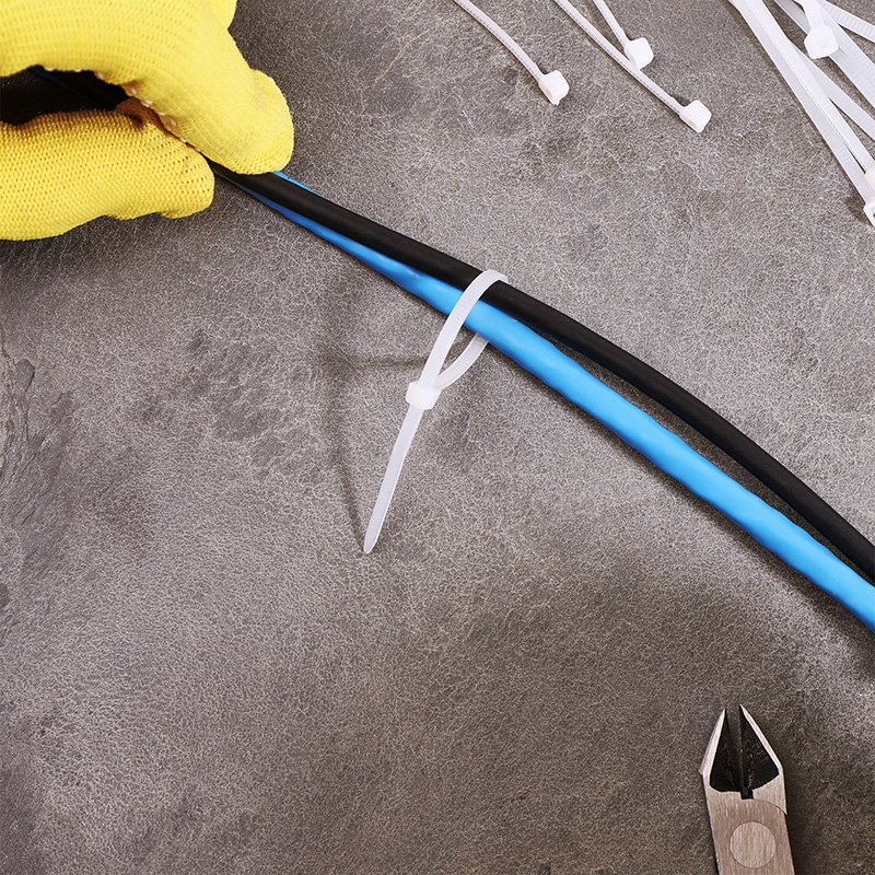 Хомуты нейлон 2,5 х 100 мм (набор 100 шт.), белые (1/10/300) "rexant"  07-0100