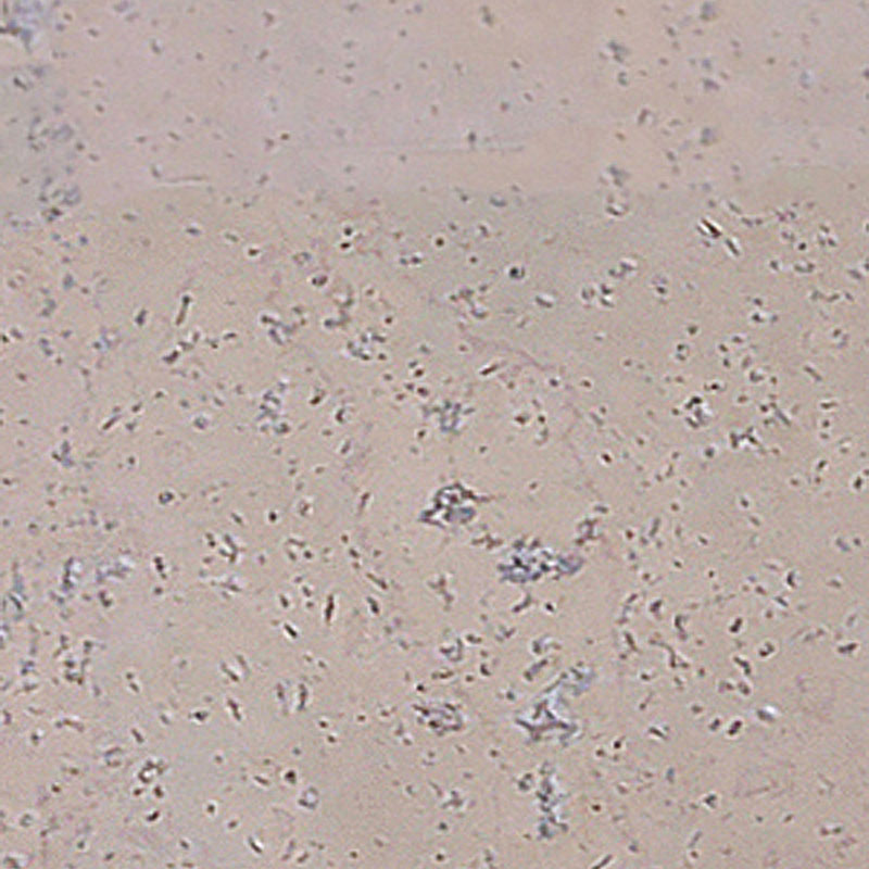 Пробковый пол Corkart Narrow Plank HDF CU3 186w WC B