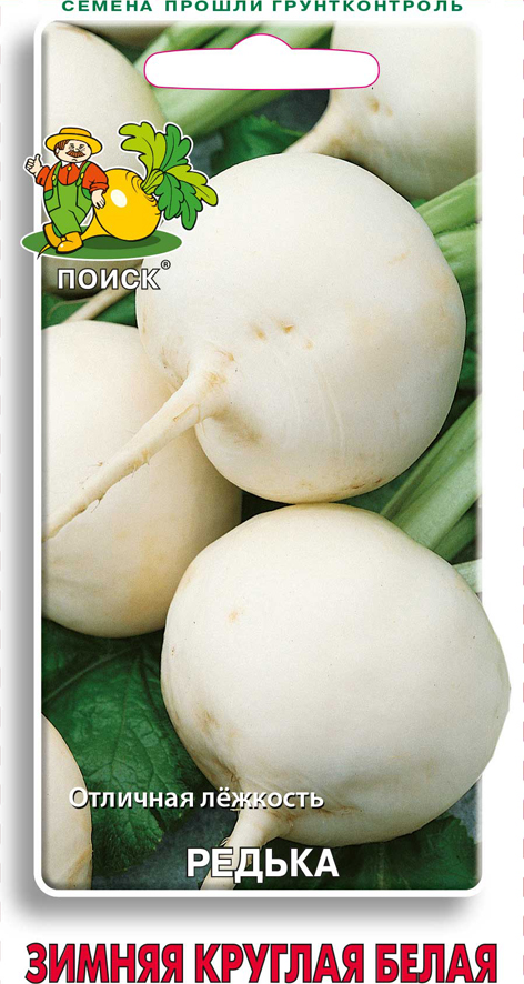 Семена редька "зимняя круглая белая" 2 г (10/100) "поиск"