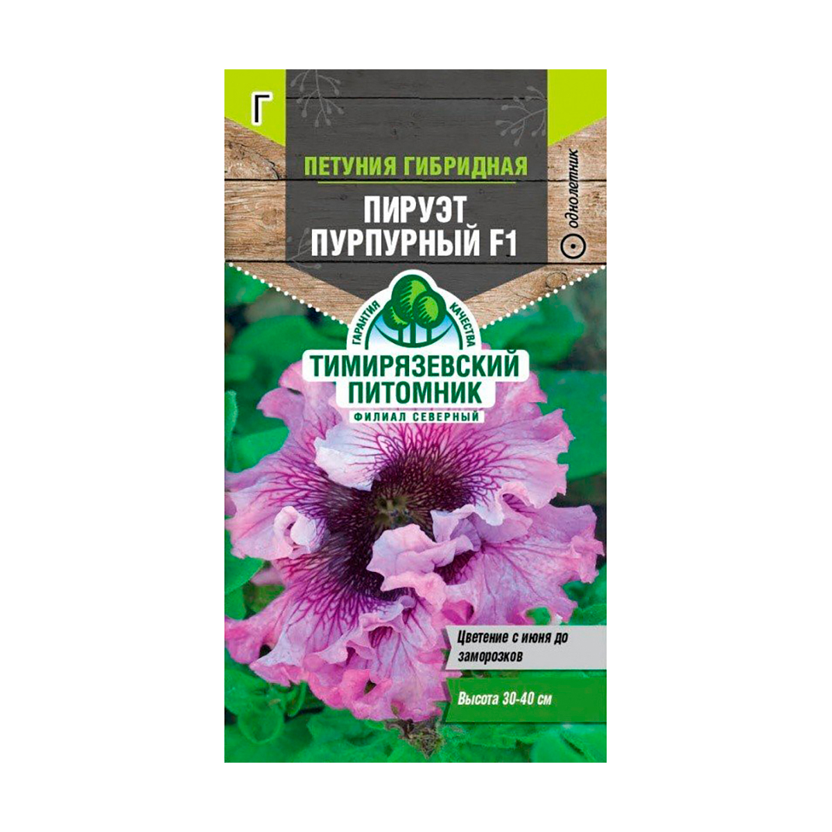 Семена цветов петуния "пируэт пурпурный f1" крупноцвет. 10 шт (10) "тимирязевский питомник"