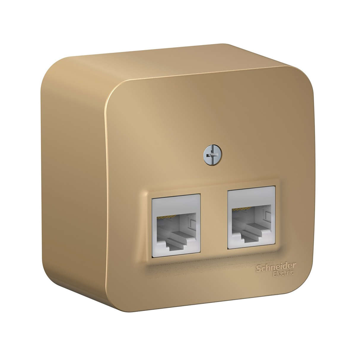 Розетка компьютерная открыт. уст. "blanca" 2-х местн. rj45, титан (1/12/24) "schneider"