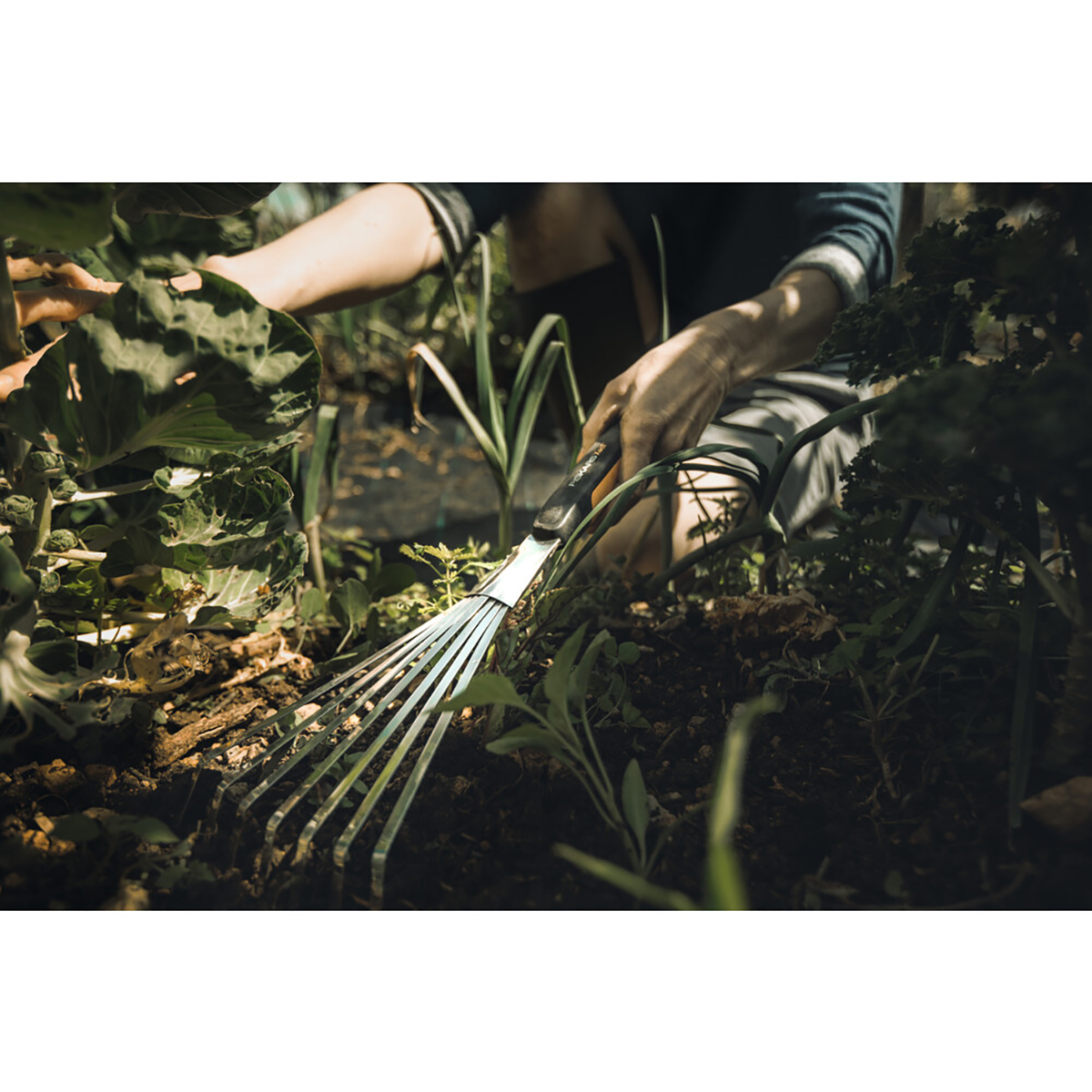 Грабли (мини) веерные "xact" 7 плоских зубьев (1/4) "fiskars" 1027044