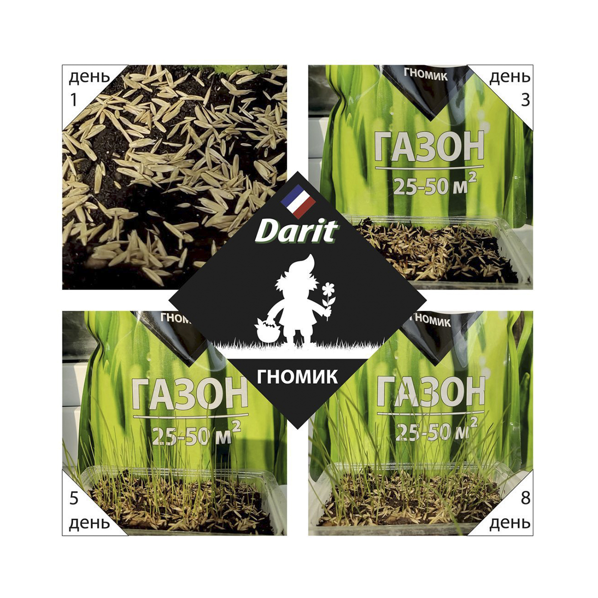Семена газонной травы "гномик" 900 г (1/8) "дарит"