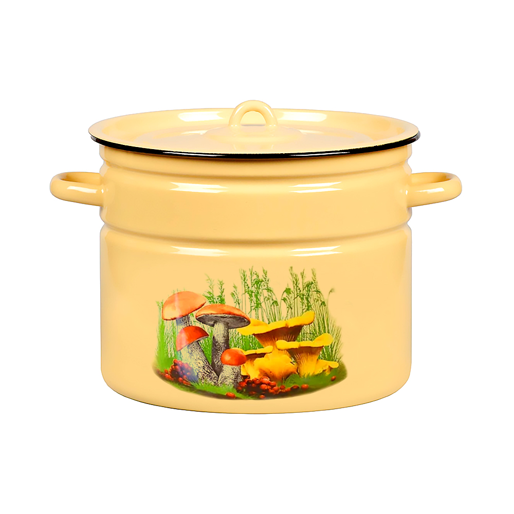 Кастрюля эмалиров. с крышкой декор. 9 л (1/2) "стальэмаль"  1с200с