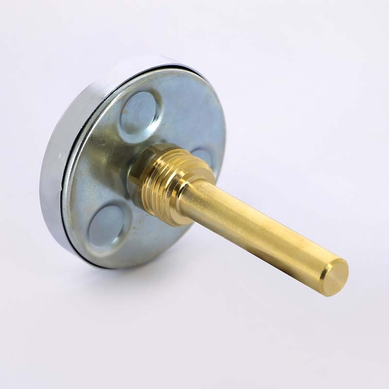 Термометр биметаллический F+R801 63 мм 120° WATTS с погружной гильзой 75 мм