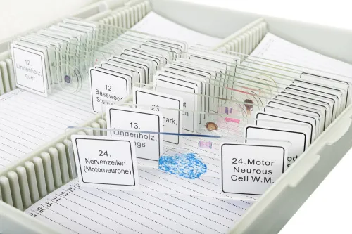 Набор микропрепаратов Bresser 25 шт., в кейсе