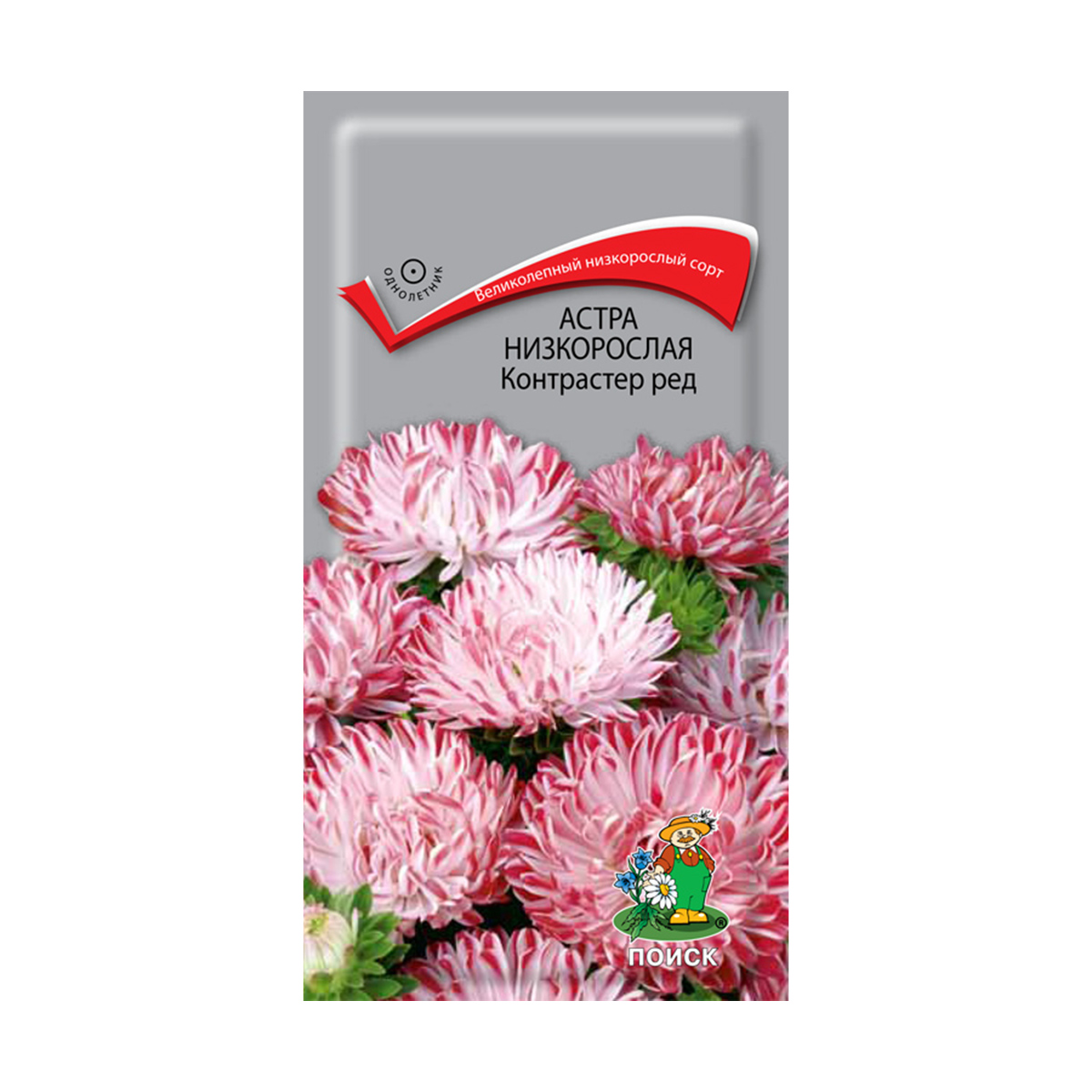Семена цветов астра низкорослая "контрастер ред" ("1) 0,1 г (10/100) "поиск"
