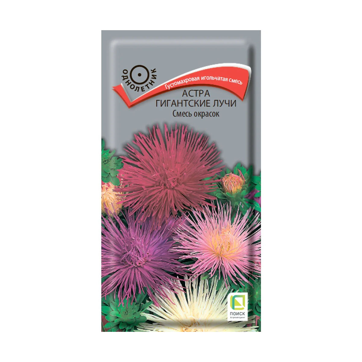Семена цветов астра "гигантские лучи", смесь окрасок ("1) 0,3 г (10/100) "поиск"