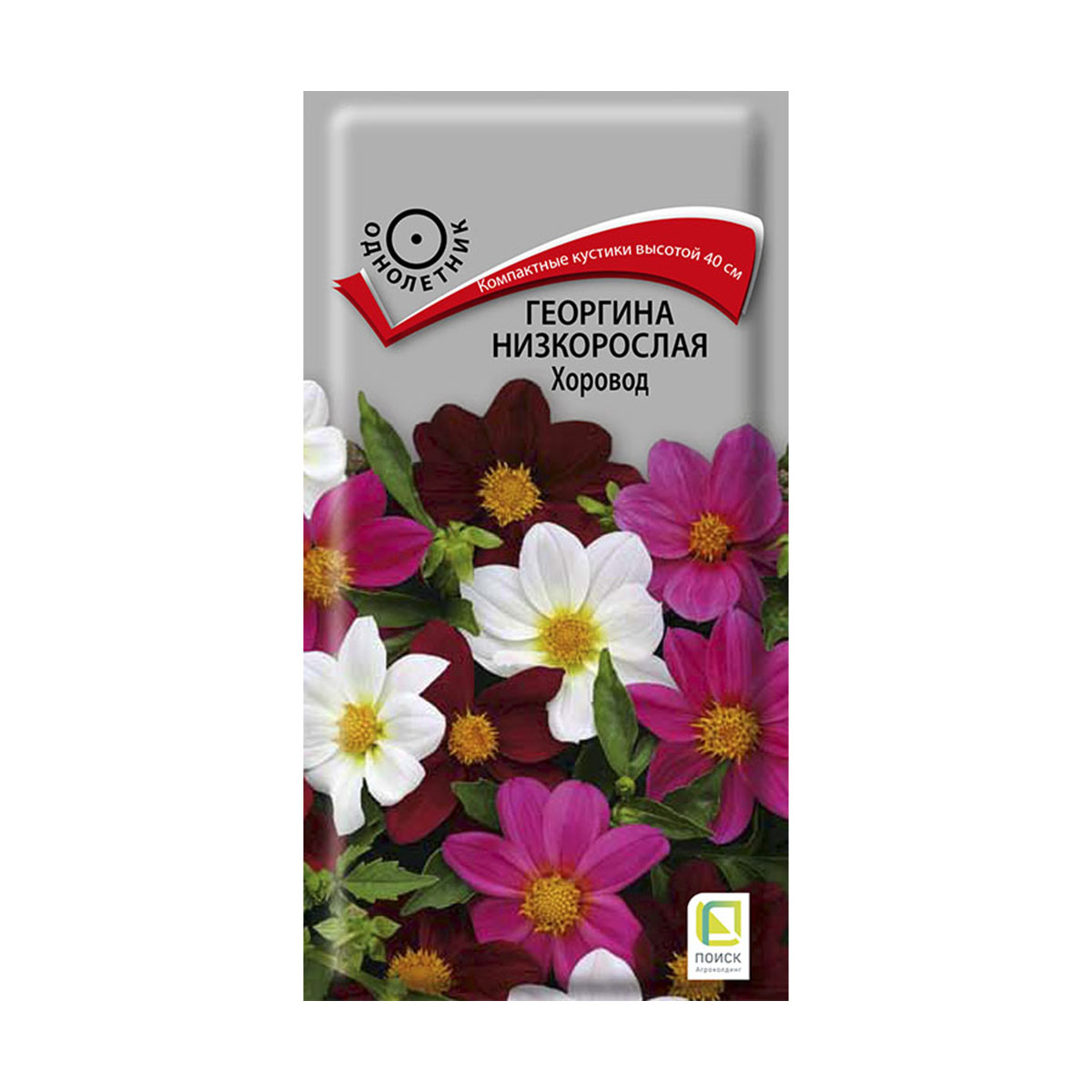 Семена цветов георгина низкорослая "хоровод" 10 шт.("1) (10/100) "поиск"