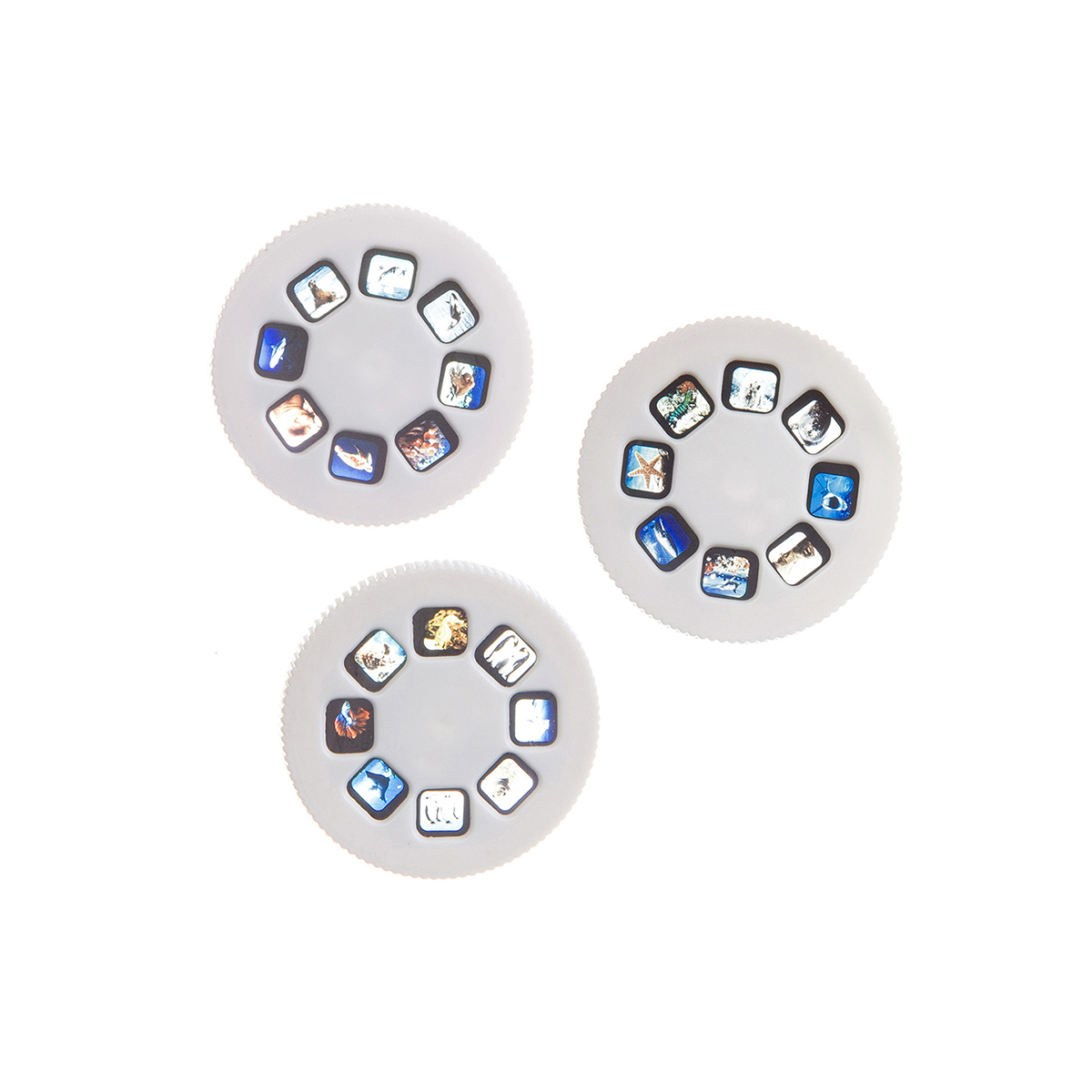 Диапроектор-фонарик, 3 диска со слайдами (животные) "bondibon" вв3200