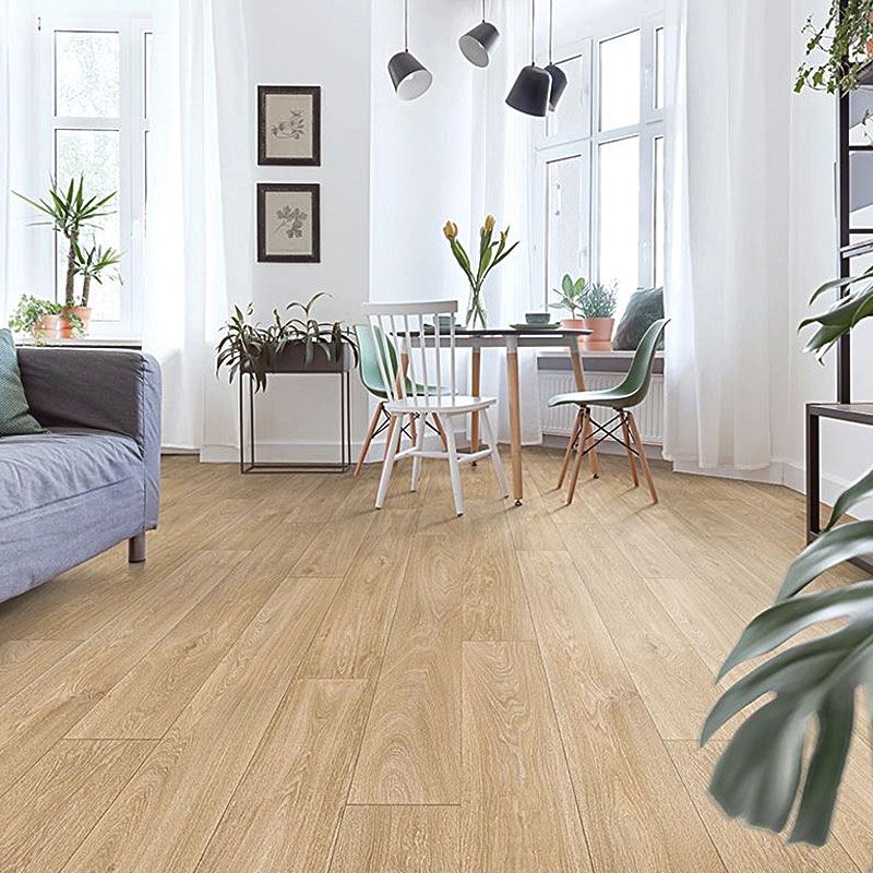 Линолеум Juteks Master Havanna Oak 10_336M - 2.0