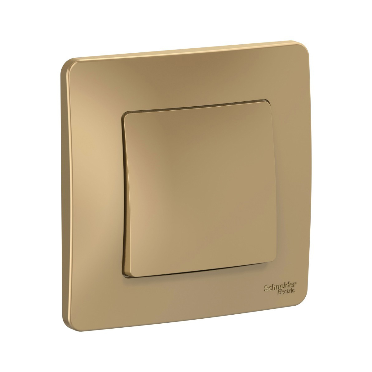 Переключатель "blanca" 1 кл. 10а, титан (1/10/20) "schneider"