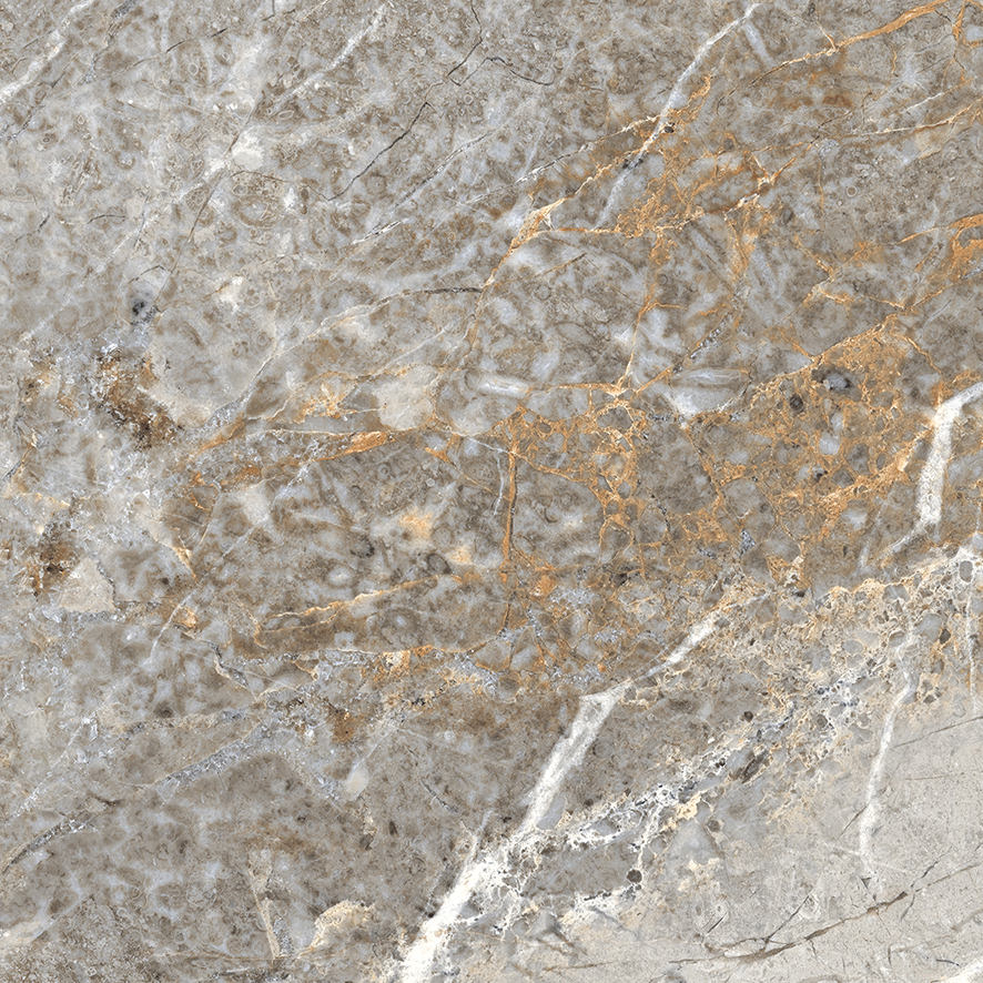 Fantastico grey granito керамогранит полированный 60x60