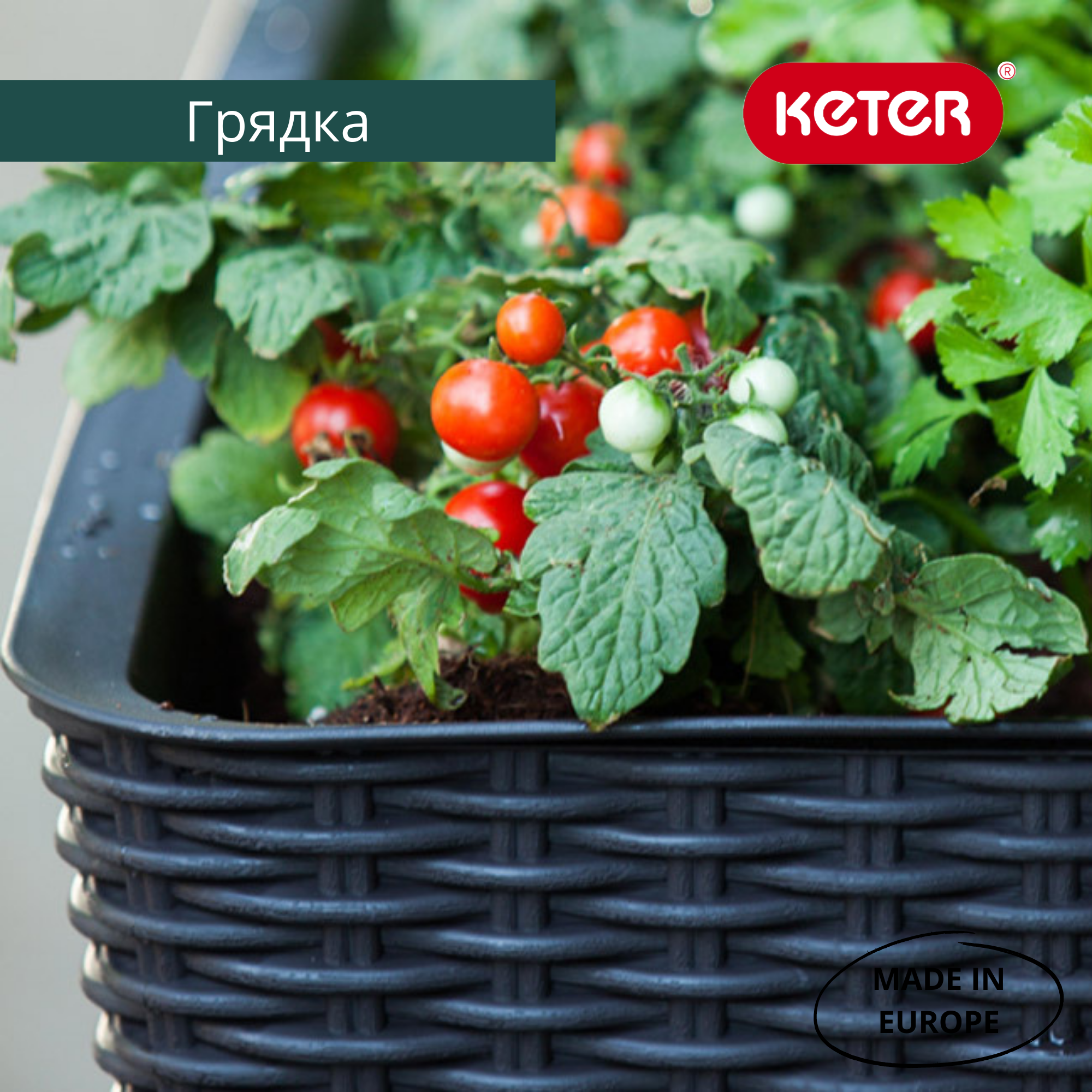 Готовая грядка на ножках Изи гроу (EASY GROW)