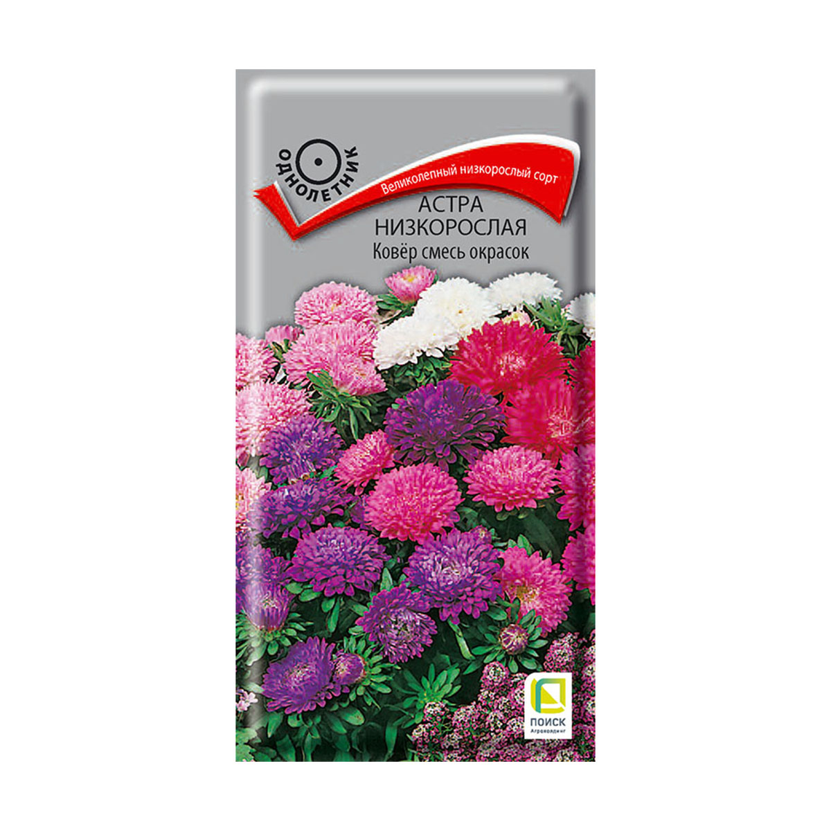 Семена цветов астра низкорослая "ковер", смесь окрасок ("1) 0,2 г (10/100) "поиск"