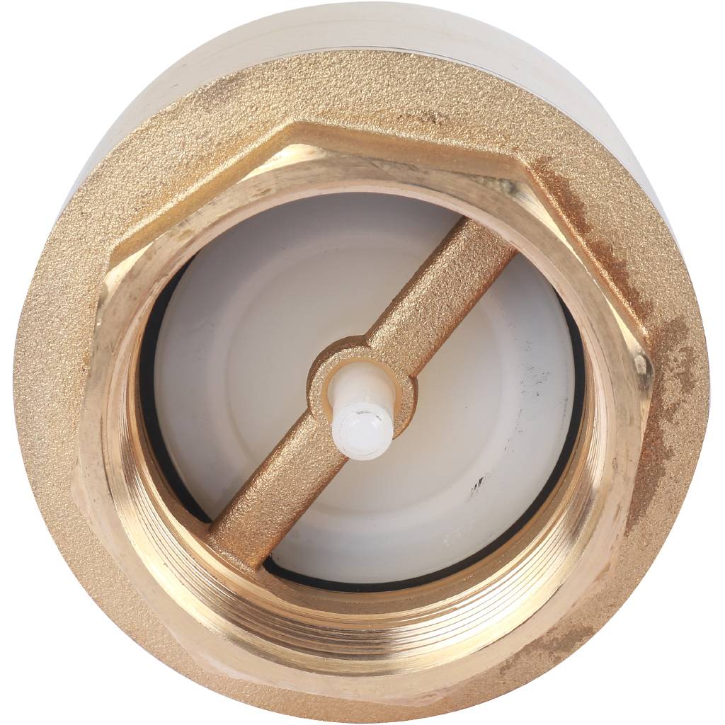 Клапан YORK ITAP 103 обратный пружинный (пластиковое седло) 2"