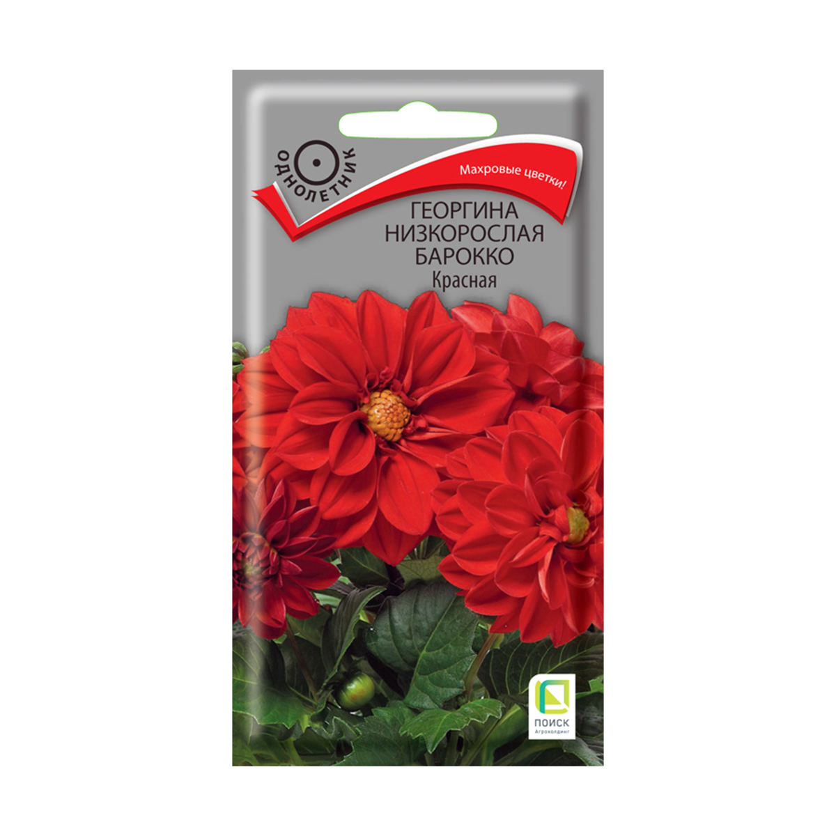 Семена цветов георгина низкорослая "барокко красная" 0,1 г  ("1) (10/100) "поиск"