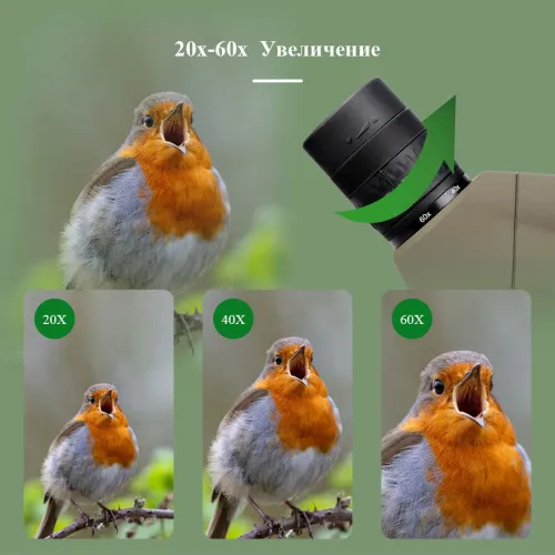 Зрительная труба SVBONY SV401 20–60x80 WP со штативом