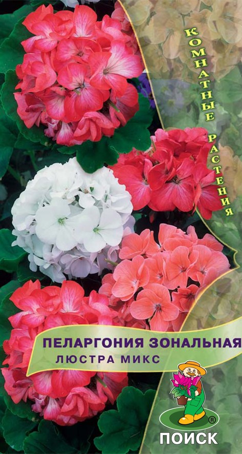 Семена цветов пеларгония зональная "люстра микс" ("к) 5 шт. (10/100) "поиск"