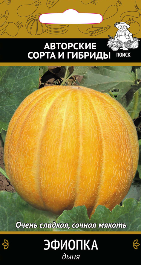 Семена дыня "эфиопка" (а) 15 шт. (10/100) "авторские сорта и гибриды"