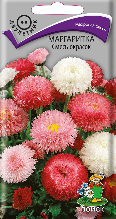 Семена цветов маргаритка смесь окрасок ("2) 0,1 г (10/100) "поиск"