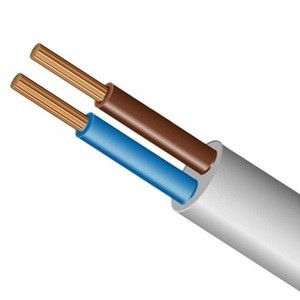 Провод электрический ПВС 2х4 медная жила