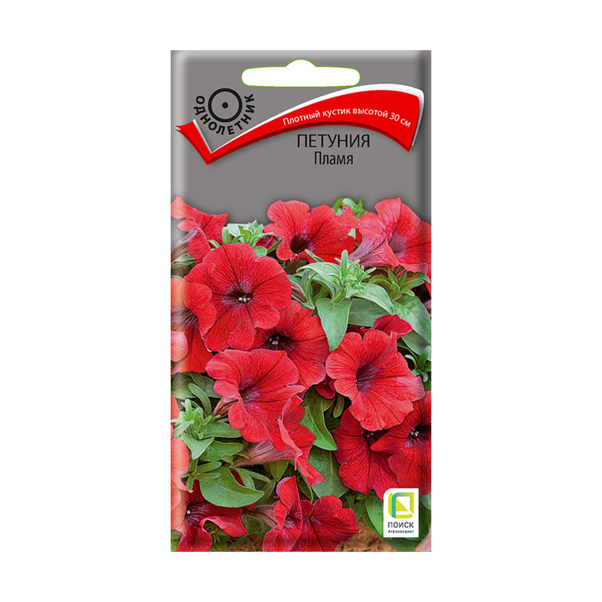 Семена цветов петуния "пламя" 0,1 г  ("1) (10/100) "поиск"