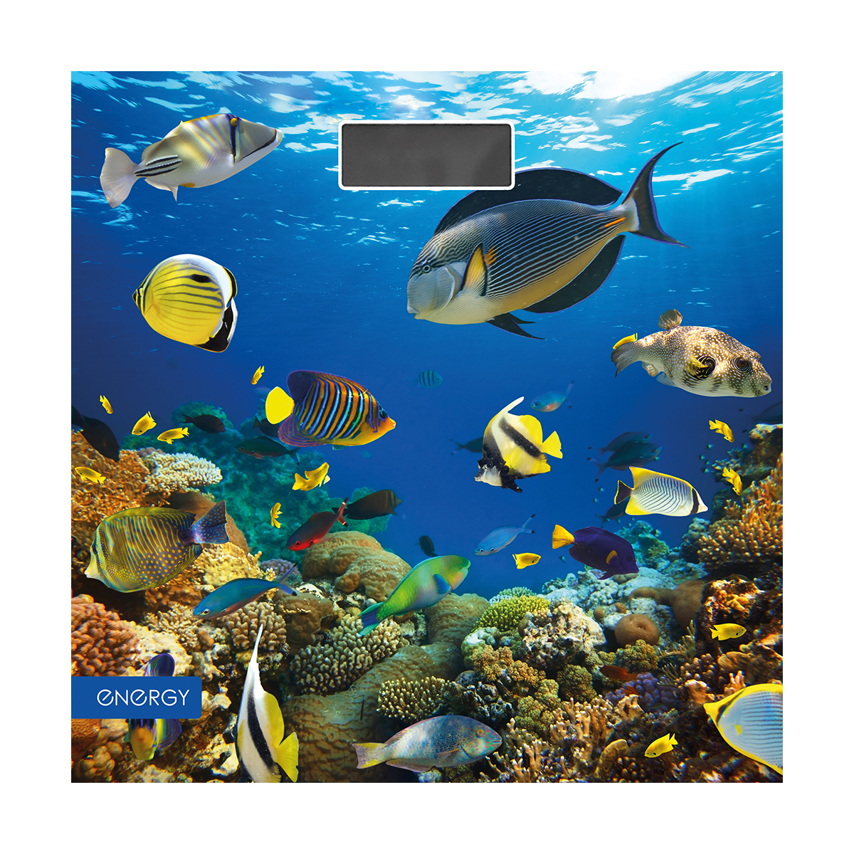 Весы напольные электронные "energy" en-419m (1/6)