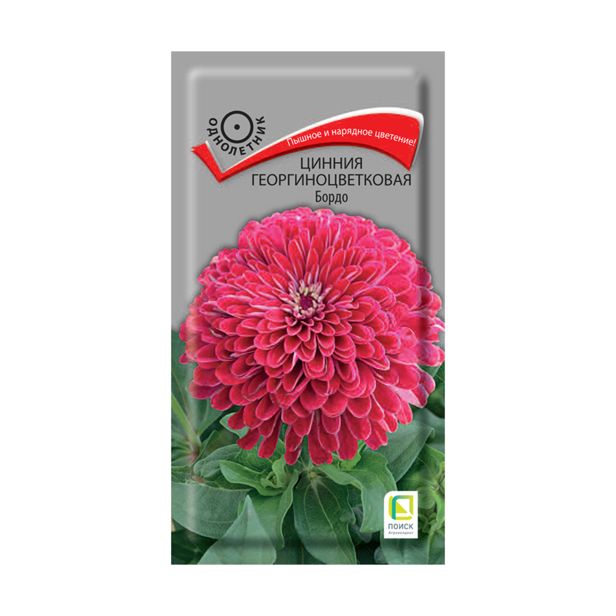 Семена цветов цинния георгиноцветковая "бордо" 0,4 г  ("1) (10/100) "поиск"