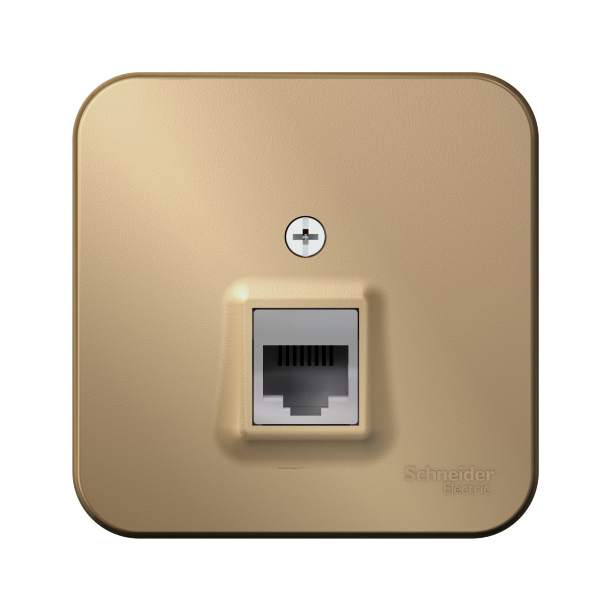Розетка компьютерная открыт. уст. "blanca" 1 местн. rj45, титан (1/12/24) "schneider"