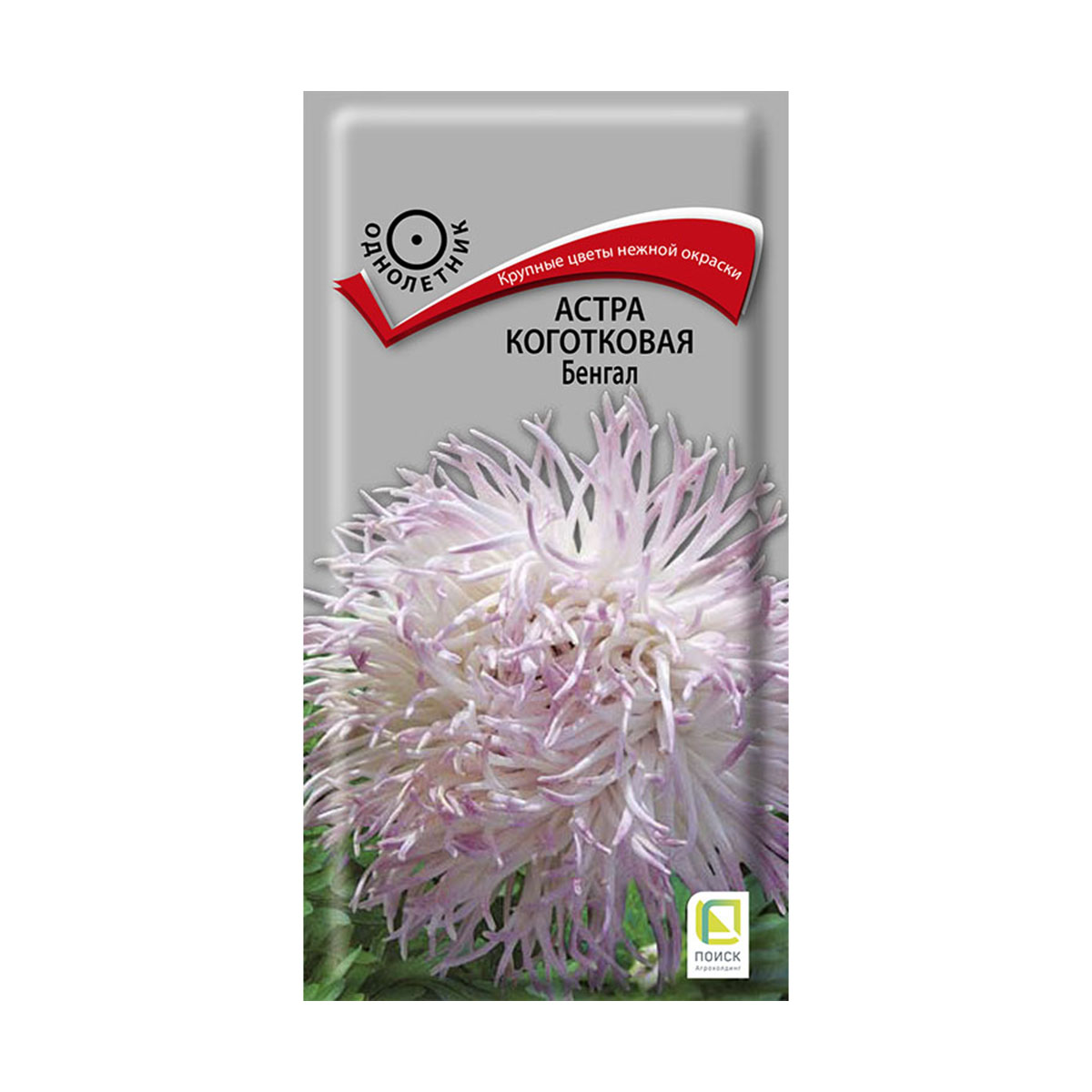 Семена цветов астра коготковая "бенгал" ("1) 0,3 г (10/100) "поиск"