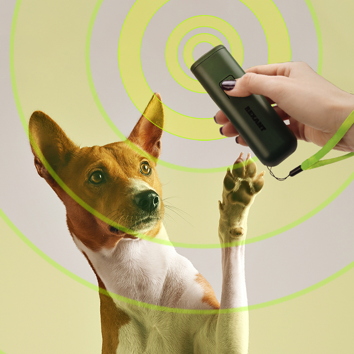 Отпугиватель-тренер собак ультразвуковой (1/48) "rexant" 71-0069