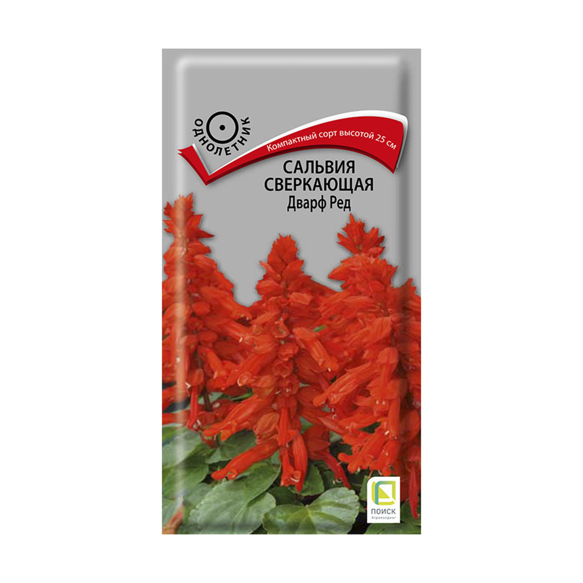 Семена цветов сальвия сверкающая "дварф ред" 0,1 г  ("1) (10/100) "поиск"