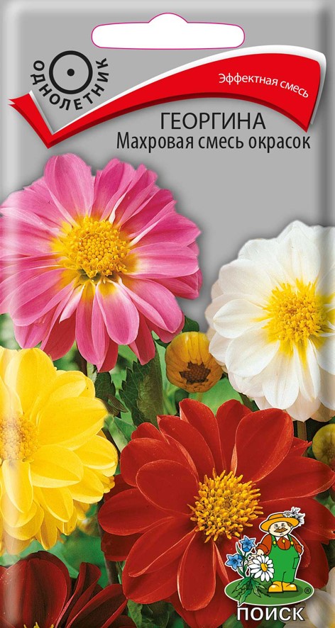 Семена цветов георгина махровая смесь окрасок ("1) 0,3 г (10/100) "поиск"