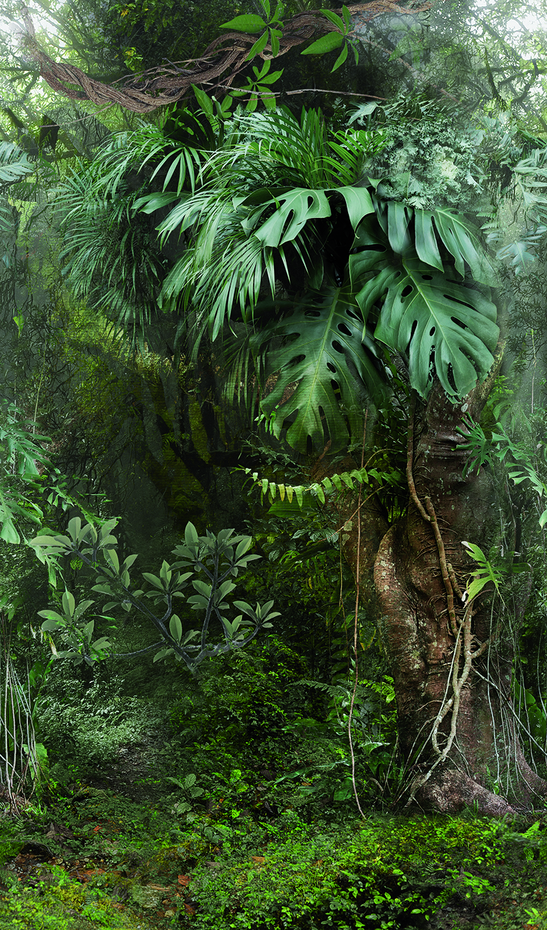 Виниловые обои Marburg Smart Art 47208 2.70 х 1.59