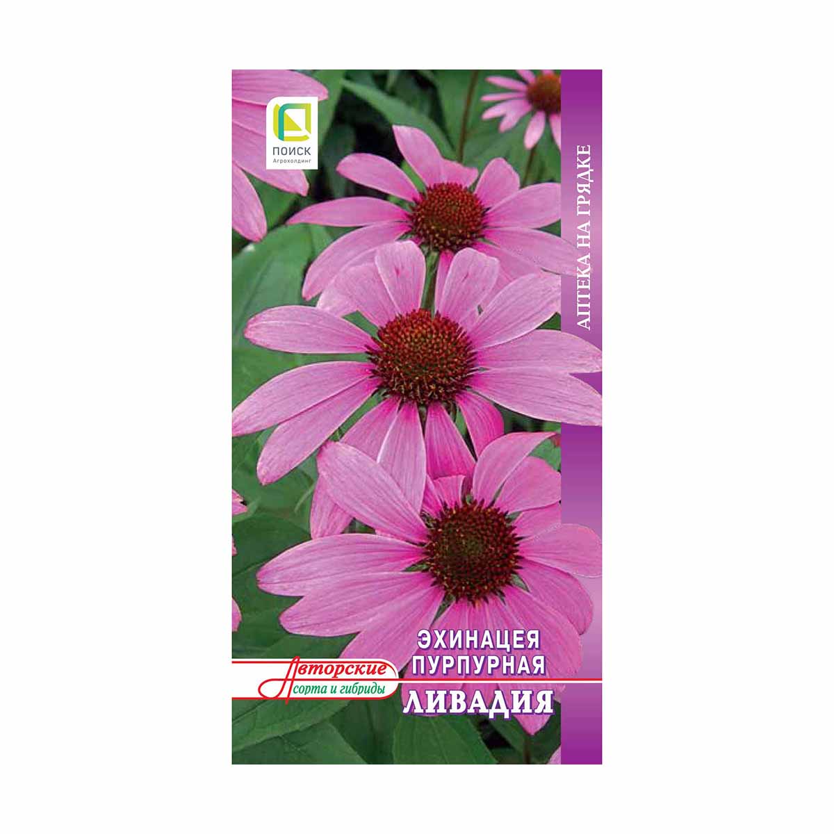 Семена эхинацея пурпурная "ливадия" (а) 20 шт. (10/100) "аптека на грядке"