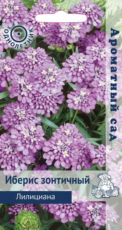 Семена цветов иберис зонтичный  "лилициана" ("1)  0,3 г (10/100) "ароматный сад"