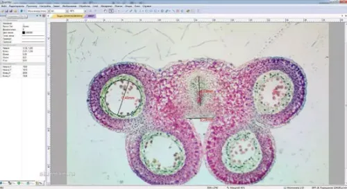 Видеоокуляр ToupCam 5,2 Мпикс (SCMOS05000KPA)
