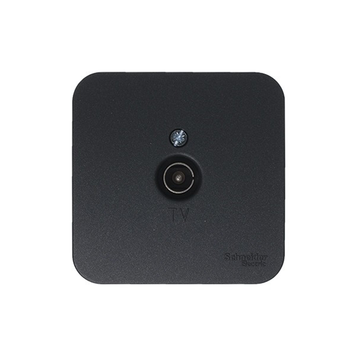 Розетка телевизионная открыт. уст. "blanca" коннектор, антрацит (1/18/36) "schneider"