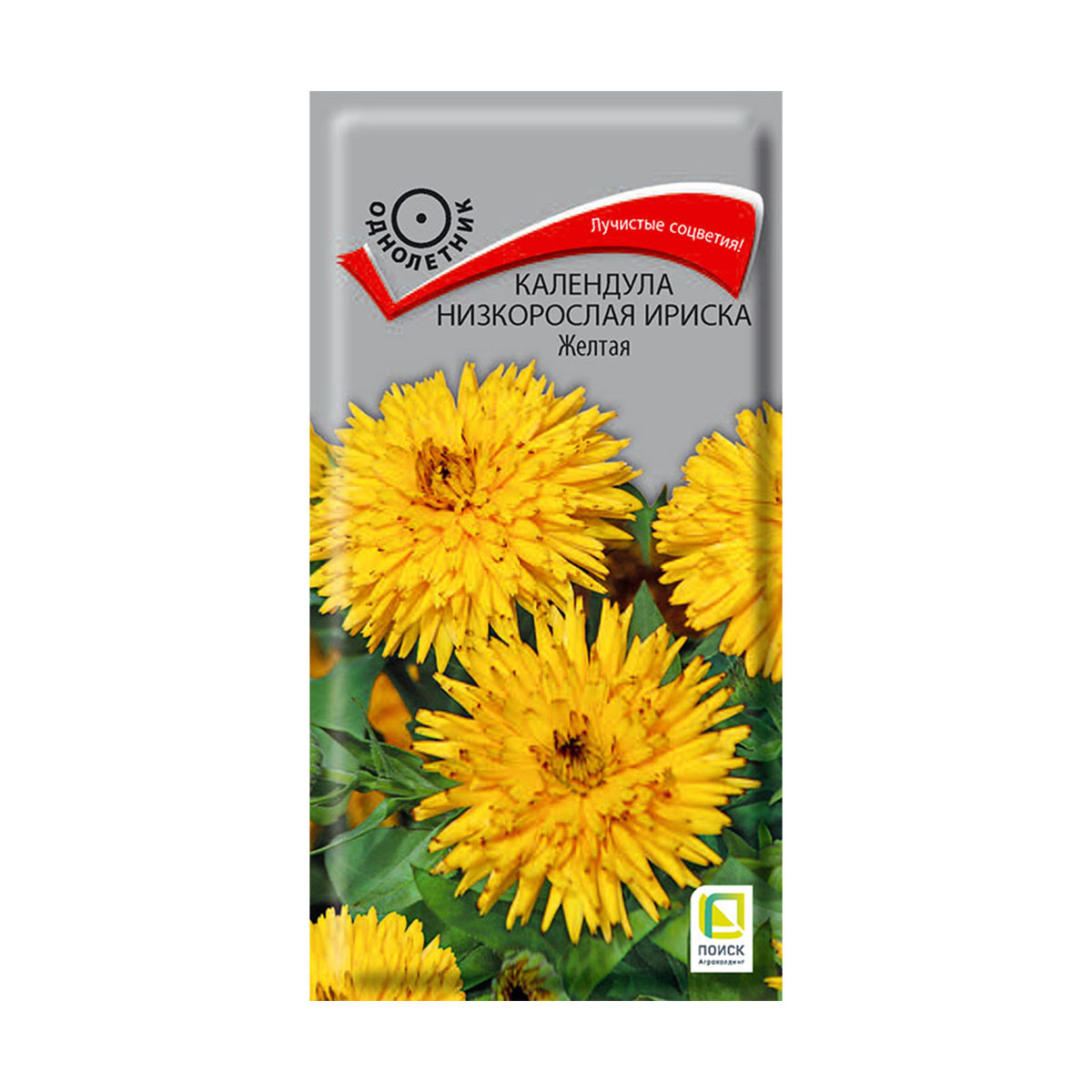 Семена цветов календула низкорослая "ириска желтая" 10 шт.("1) (10/100) "поиск"