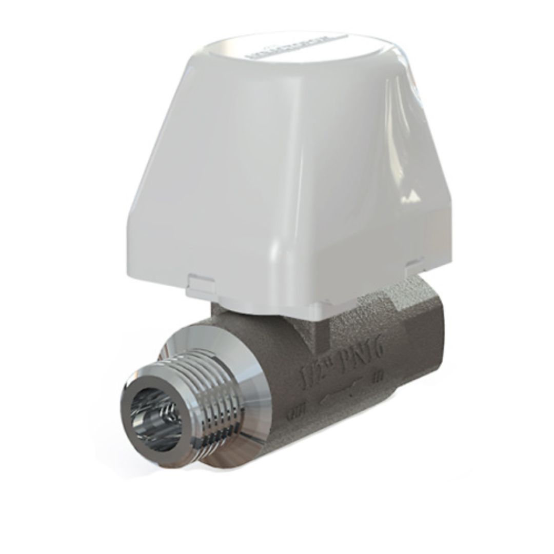 Электрокран АКВАСТОРОЖ Классик 1/2"