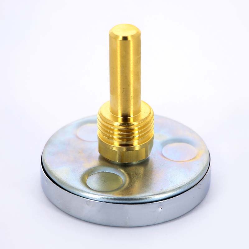 Термометр биметаллический F+R801 63 мм 120° WATTS с погружной гильзой 50 мм