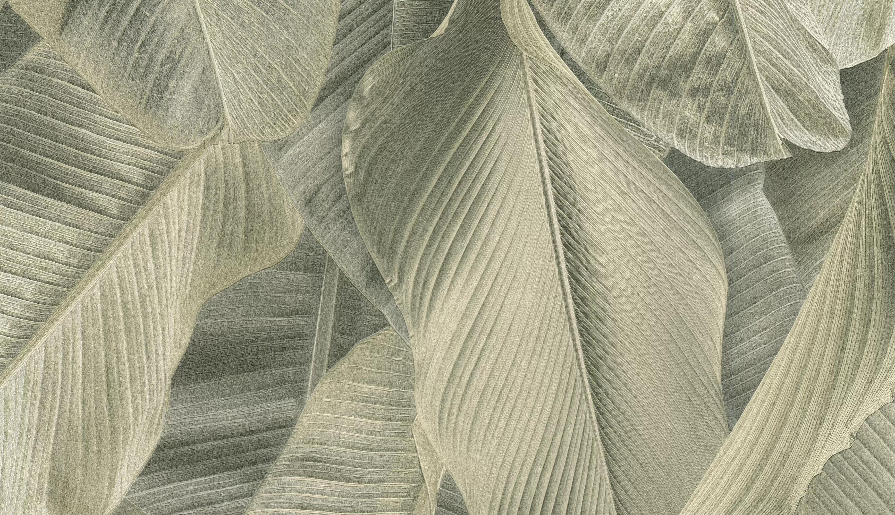 17803 Обои Limonta (Lymphae) (1*6) 10,05х0,53 винил на флизелине