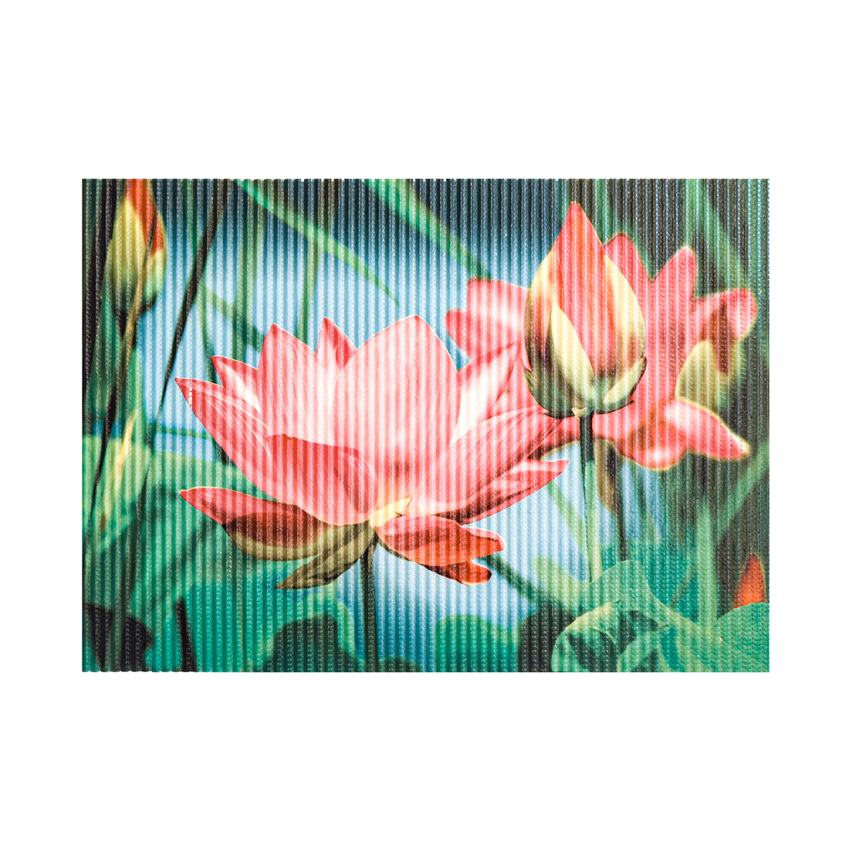 Коврик для ванной "лотос" 67*45 см (вспененный пвх) фотопечать (1/15)