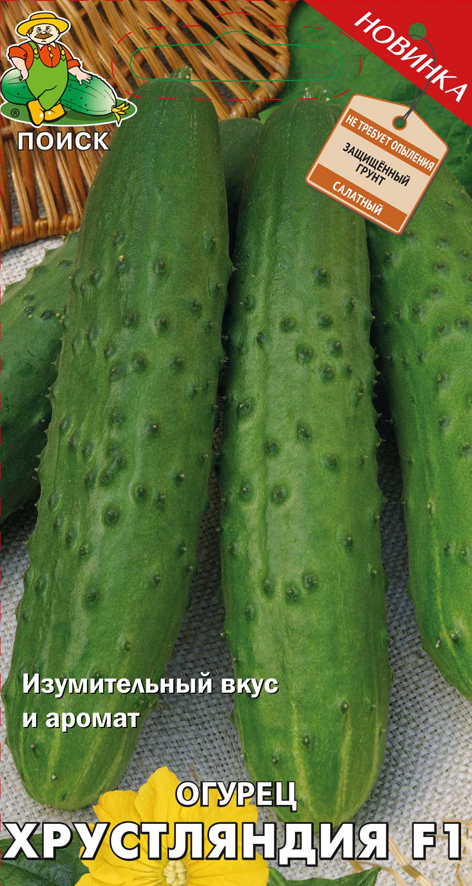 Семена огурец "хрустляндия f1" (а) 12 шт. (10/100) "поиск"