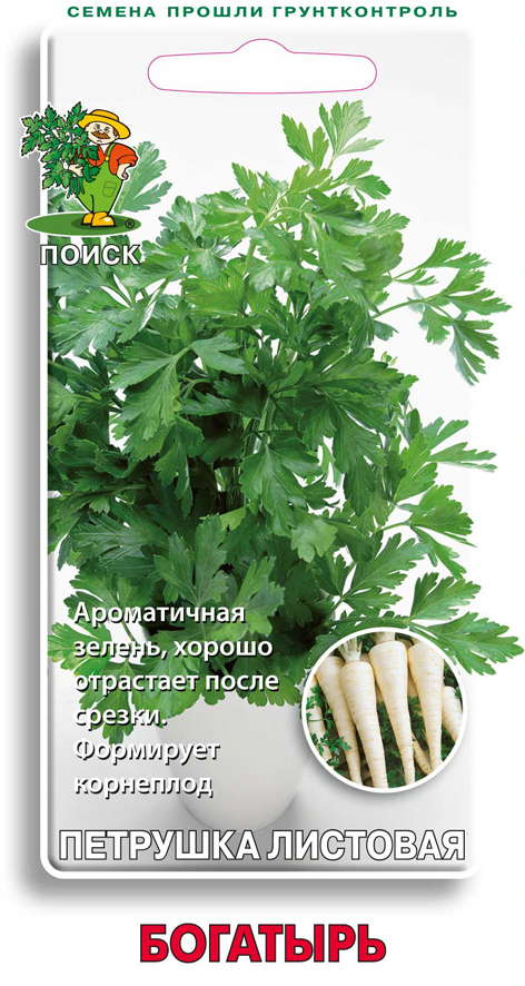 Семена петрушка "богатырь" 3 г (10/100) "поиск"