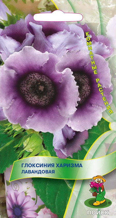 Семена цветов глоксиния  "харизма лавандовая"  ("к)  5 шт. (10/100) "поиск"